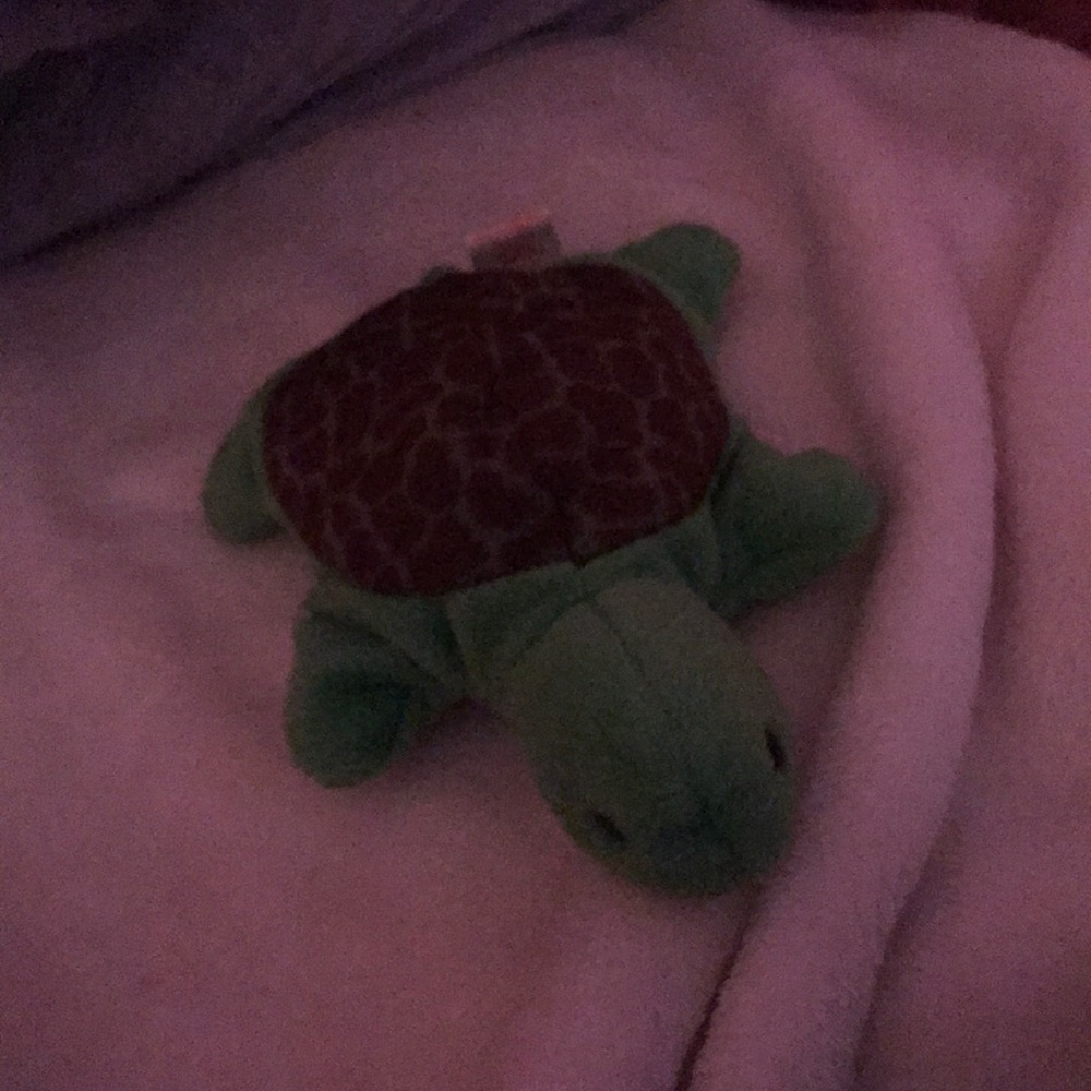 Stuffed animal turtle